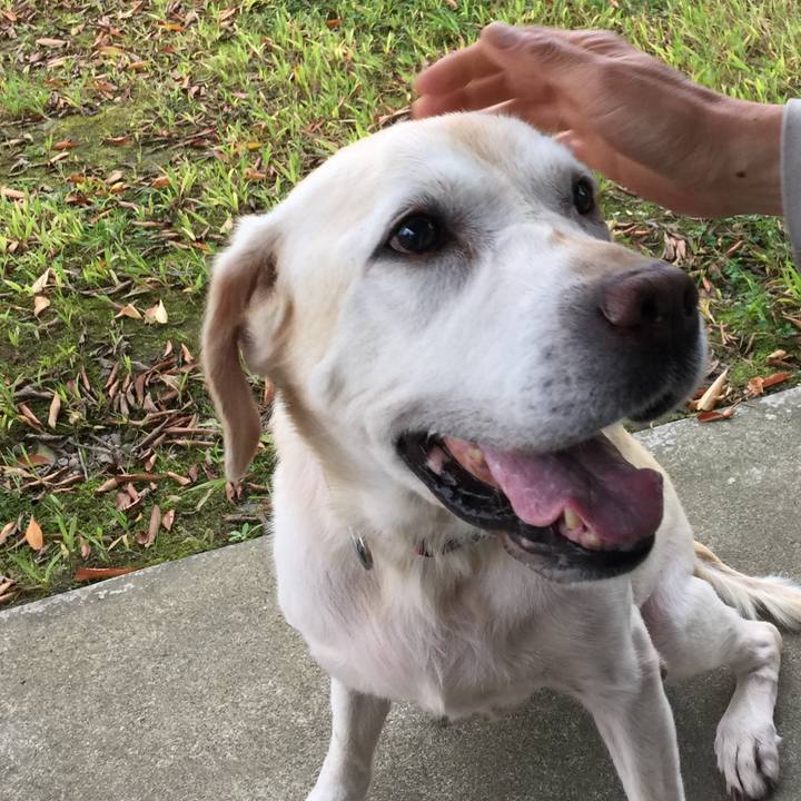 2e295a4b b036 41b8 8cac ffa695f6386c 1558910427786