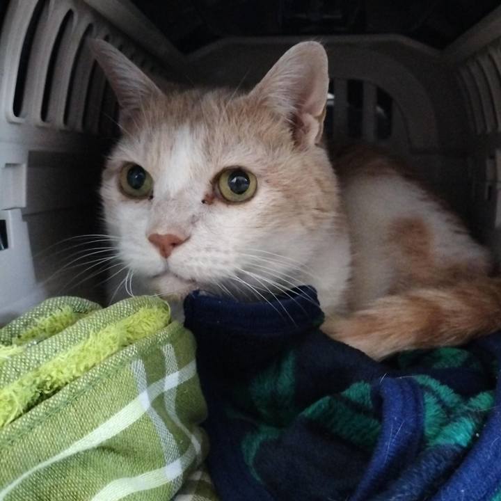 2e297d81 f969 4e29 8c13 3a04fd689275 1703112213835