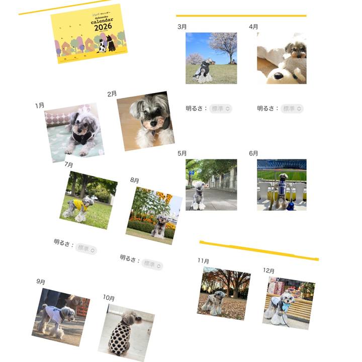 2e29cd55 9098 475c 8e12 7c3355a89808 1764214272682