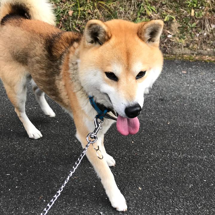 2e2a4489 1b80 4fe9 bb3d 3d7755c9451c 1519269330224