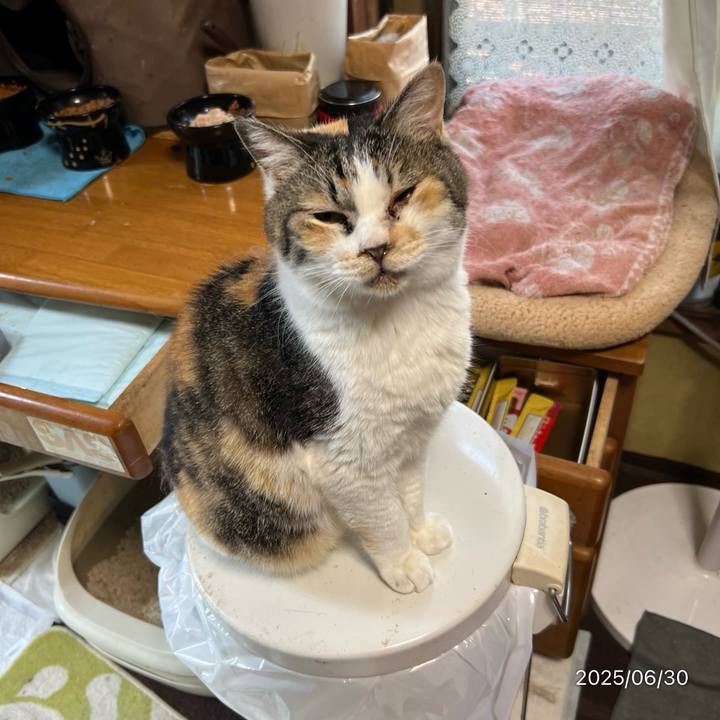 2e2abc23 3b22 49cd 8f40 5fb702b2de00 1751234120230