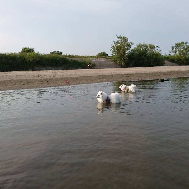 2e2aea57 09fc 482d a2be 306b91154b57 1598792180035