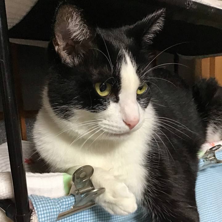 2e2b00a2 2212 476a 9079 e65bbe694b96 1729158562034