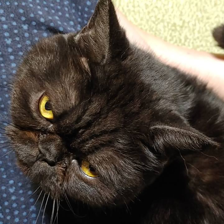 2e2b2589 811d 4081 9e2f 34dadb614133 1640510063367