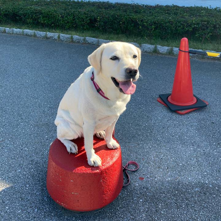 2e2b42e3 a15e 4b68 aa27 5aa7efb3400e 1699040774218