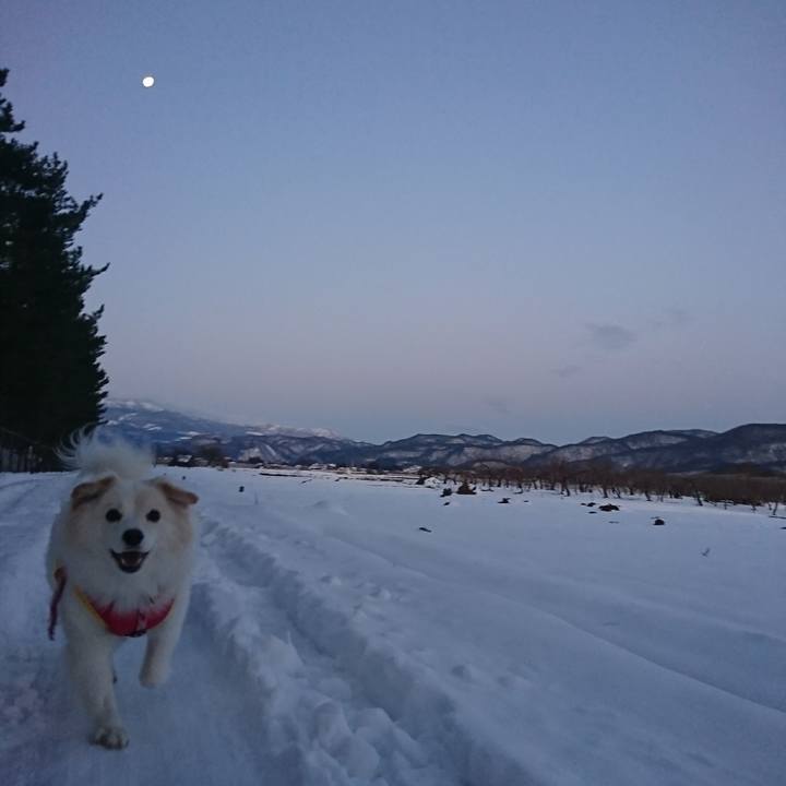 2e2b577a 4ce4 4ed0 8d83 2dda0e36e7c4 1517693662948