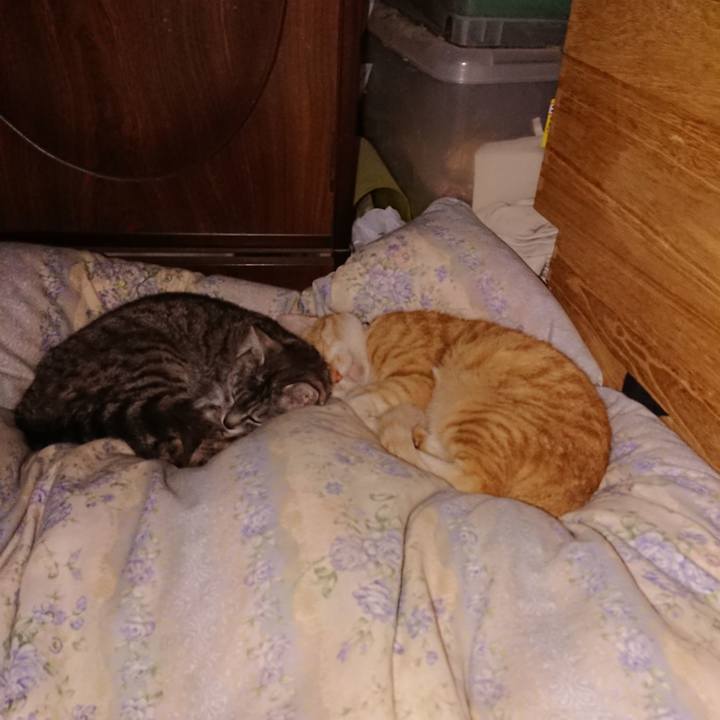 2e2b8db9 c423 41c4 a503 ea5bbcd01abb 1590850562643