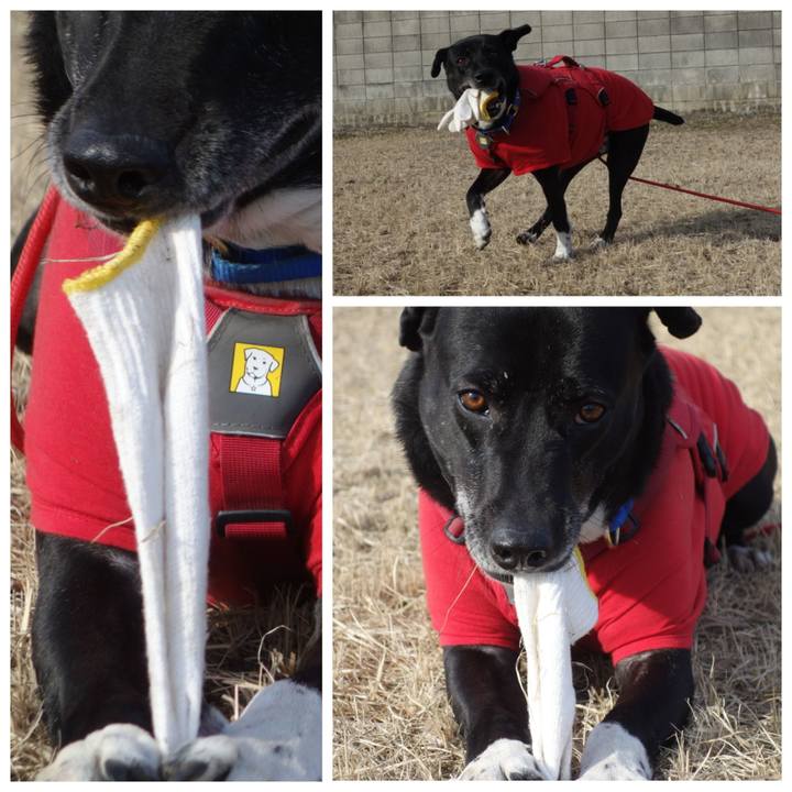 2e2ba42f 9c29 48a8 88fd 83b7cb7b9da2 1677289150507