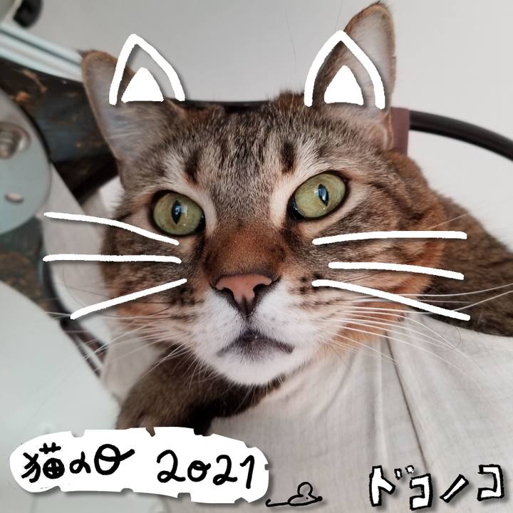 2e2bd78f 195a 40c7 8322 77eb62f4f2d2 1613973915005