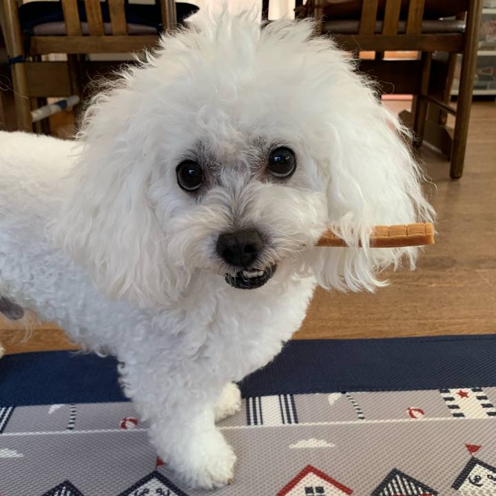 2e2be0a1 566c 42dc ba90 2f355c2d3e5e 1628127908072