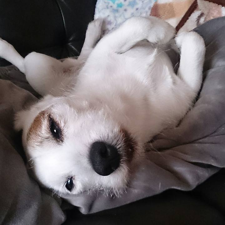 2e2c07ab a563 481e 949a 882298f1b3b4 1512344149876