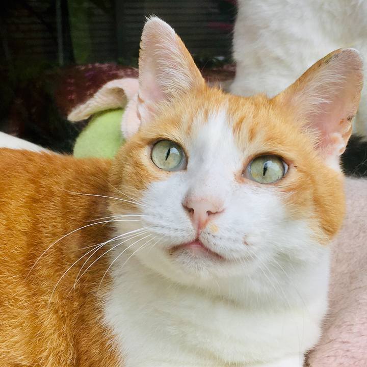 2e2c1419 41b6 49e1 a105 4c1fbafe740c 1562391126982