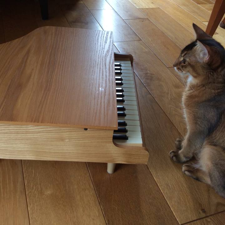 2e2c182b b527 4549 9cce 5a6598644352 1564547726281