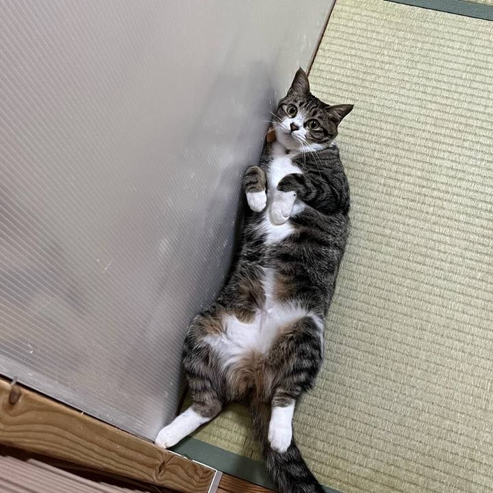 2e2c577e b100 41aa a34c 970367e87332 1756343376296