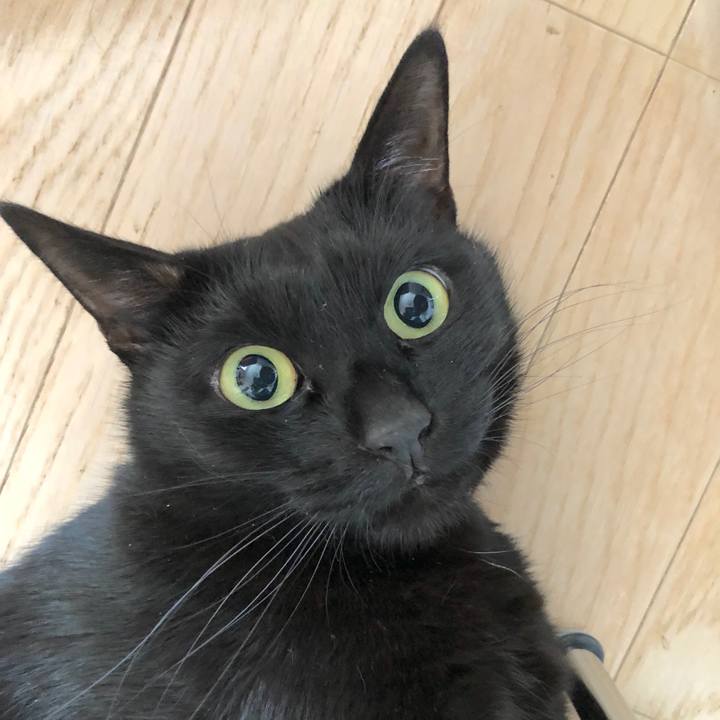 2e2c6ae2 36a5 4f3f 835f de25082f05c0 1513998927043