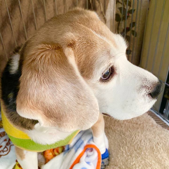 2e2c7114 b785 420a a11b 8f3dfb45ebbb 1584767694526