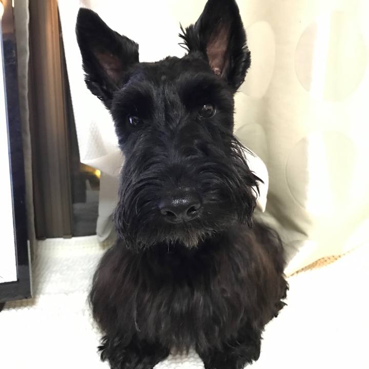 2e2c7210 caab 4ed4 89aa 6b1378604970 1520077216947