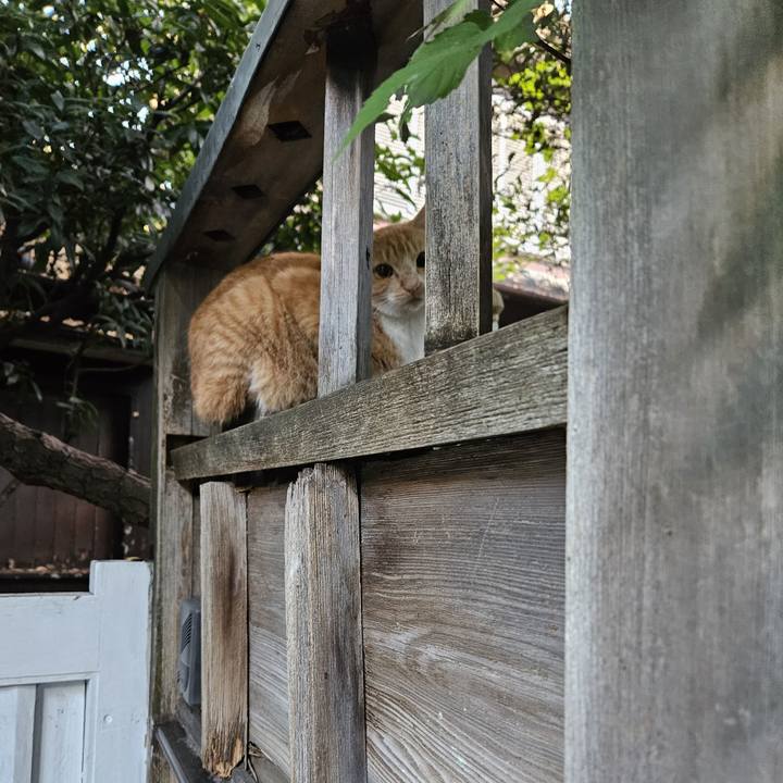 2e2ccc18 31e5 4bfa a7dd 18507650c116 1712624816751