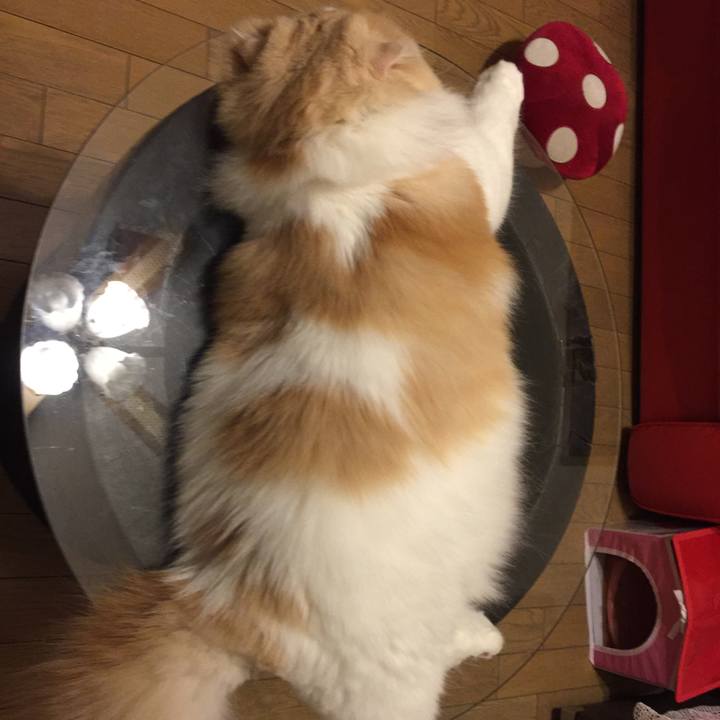 2e2d3b35 ee91 4505 b622 44f1b6c2caba 1531664547538