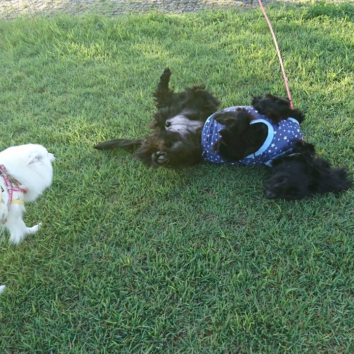 2e2d47bf 94c2 46da 9797 f052239f4c90 1601195765545