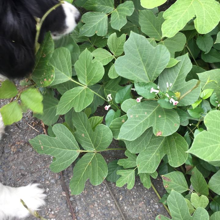 2e2ddeb5 4561 4b29 992b d0ea2ac920b6 1562456750952