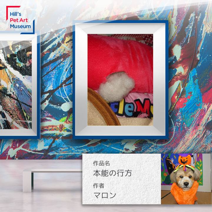 2e2e5461 bce0 4690 83dd 3a213b768bf2 1604660788004