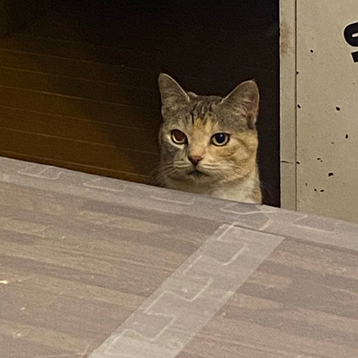 2e2e5bd9 96af 4df9 9f0b 53171f5c07e7 1622719725729