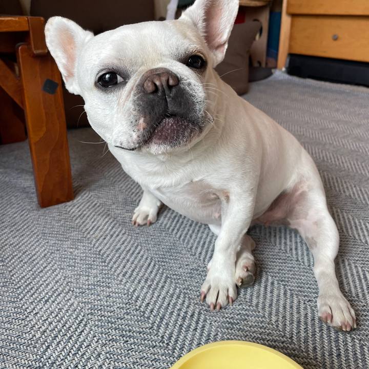 2e2e7ae1 e2b1 4aff af02 d3f186d5657b 1747817722061