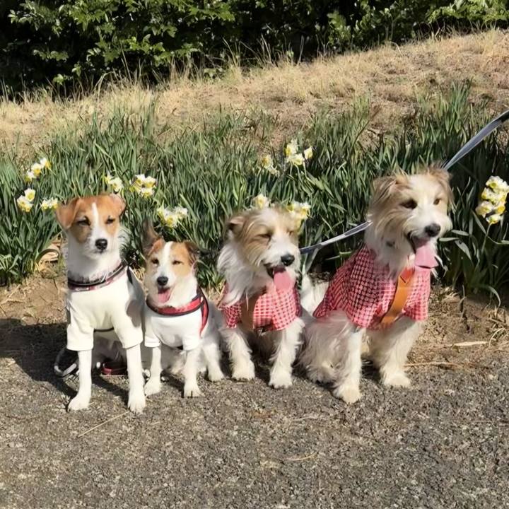 2e2edac4 fe5c 4c58 af1a cb703250e23a 1772538035703