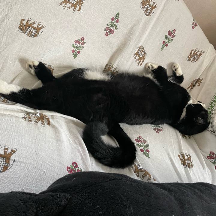 2e2ee75b 43b2 40cc a439 2189113bbd5f 1688972706032