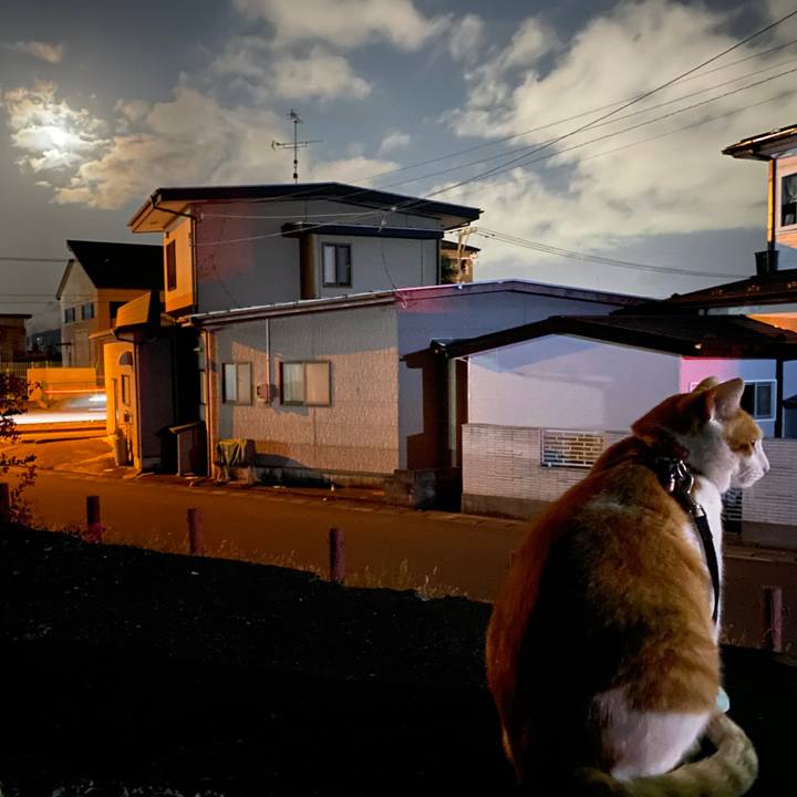 2e2f2349 be45 45b2 aff6 954d83faed3a 1601642221838