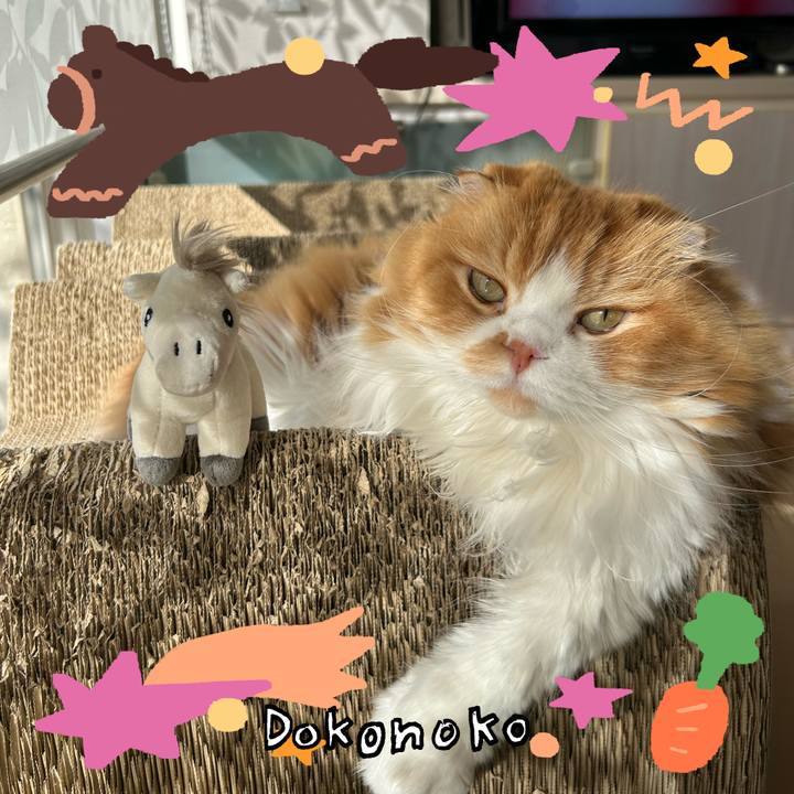 2e2f2d4b f854 4295 82d7 744a5830f3b1 1772194377548