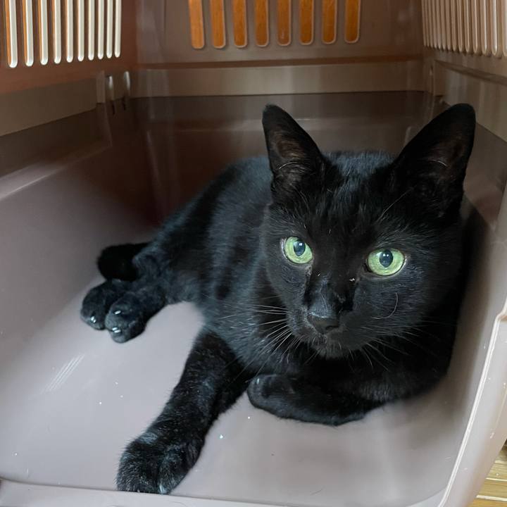 2e2f7911 6da5 4ce0 b9b1 9680b9395e54 1623980161741