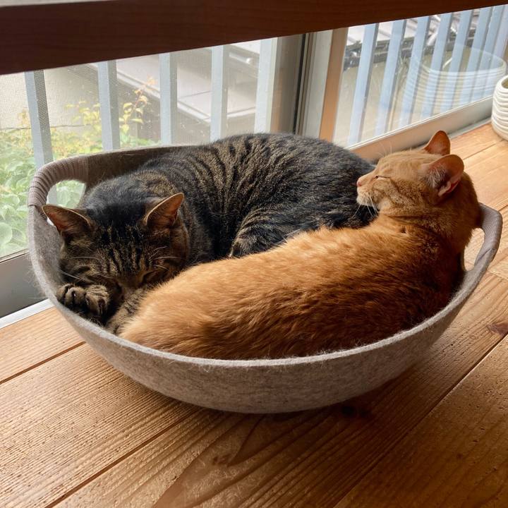 2e2f7b66 f1f6 468c aadd 0e519476ceb6 1687667233605