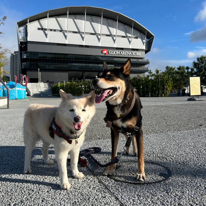 2e2f7e12 280a 4f08 9fcd 253d6f1480e4 1760577701230