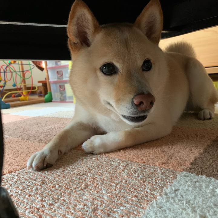 2e2f8744 4b79 461a 94c5 9b1947915501 1621983829062