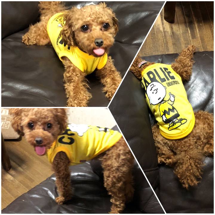 2e2f8c28 f63a 4ce8 9104 b2e01b177609 1526176801955