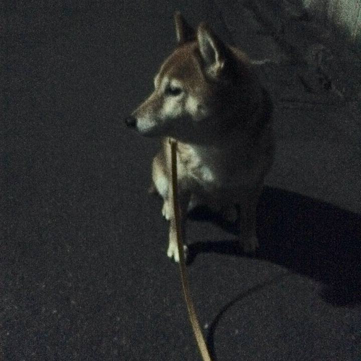 2e2f90b8 fa85 494e 98ad e653a3eecad5 1523711160694