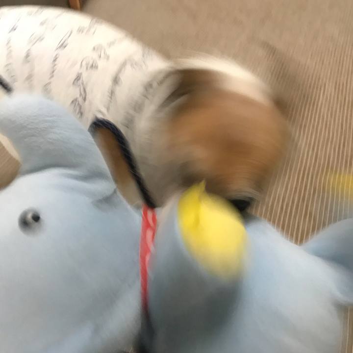 2e2f9227 ddd2 45db b4db 41a0b436791f 1600314303495