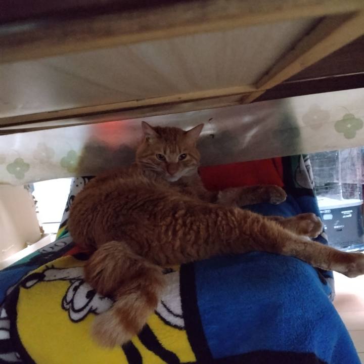 2e2f946b cb90 4f4b aff1 583fe87e491a 1670968450107