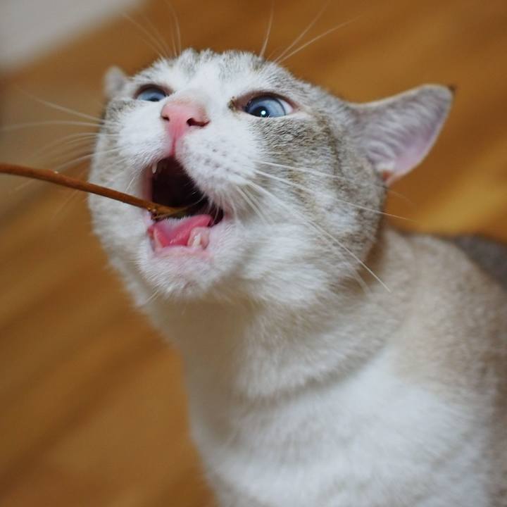 2e2f982d 1048 4ffa 9963 888e04639b18 1567304869638