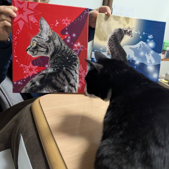 2e2f9f37 8498 47b2 8807 caa69bf54773 1766993895696