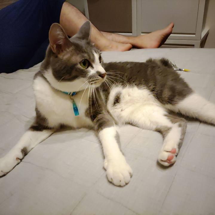 2e2fc13b 4b72 4067 baae 55f759a564ba 1663934517372