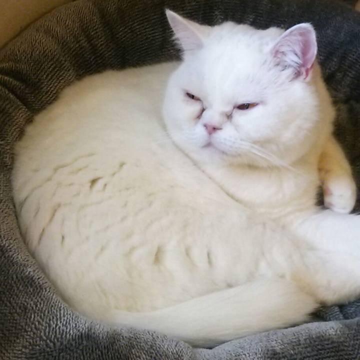 2e2fc273 918b 4c5d a79b feaa98896f10 1512885813109