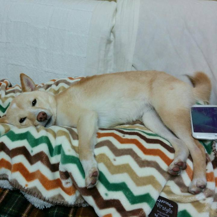 2e2fca3c 3d0c 4bdf 8d02 143a757e0cf4 1509622189979