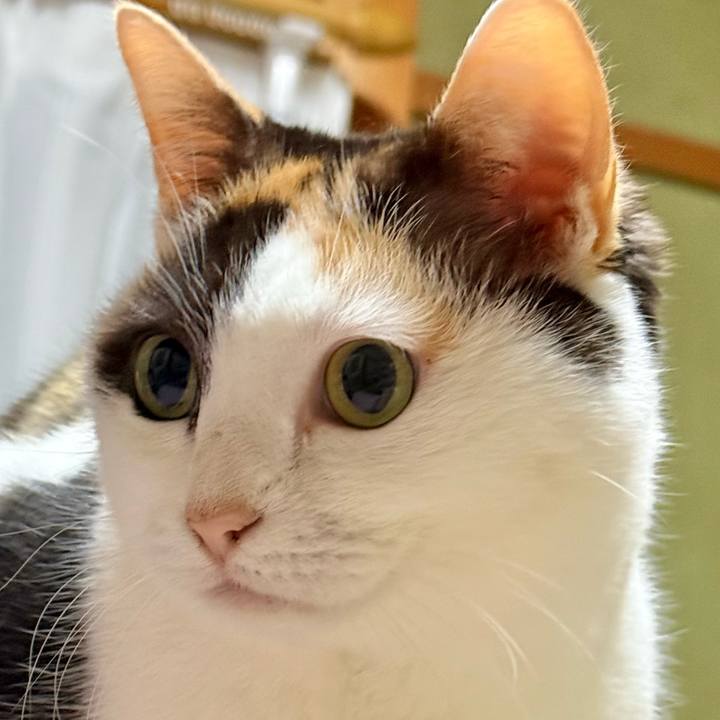 2e2fe905 6358 4182 b738 0e3901040977 1739582441698