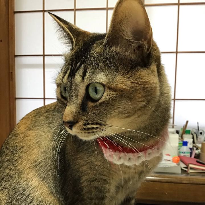 2e30146f f907 4f36 b2ce 286e8df53f62 1610931029941