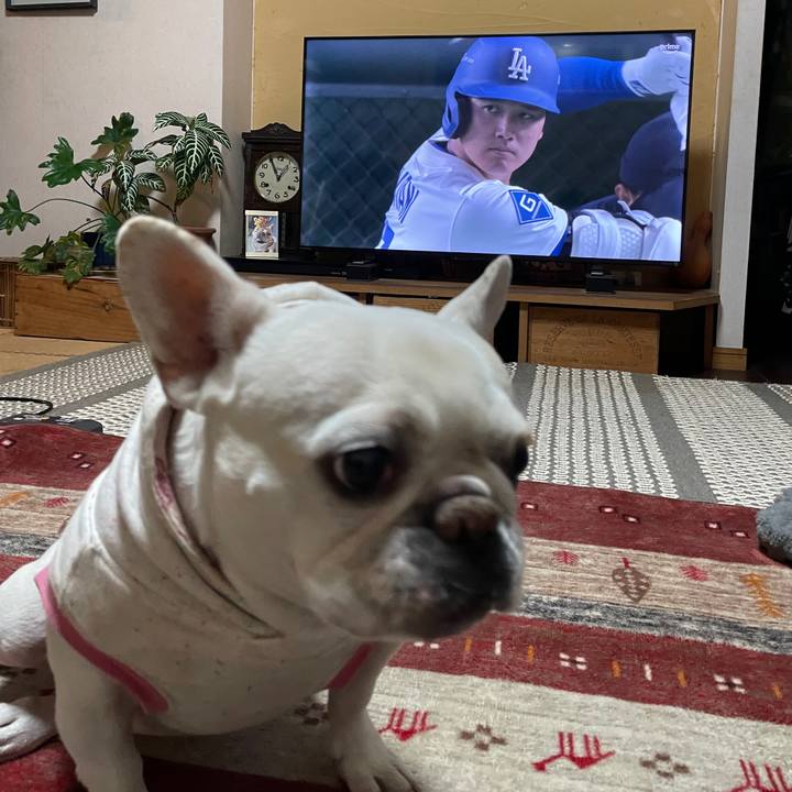 2e30386e e034 4043 9e4c 000542f6cbdf 1742033507987