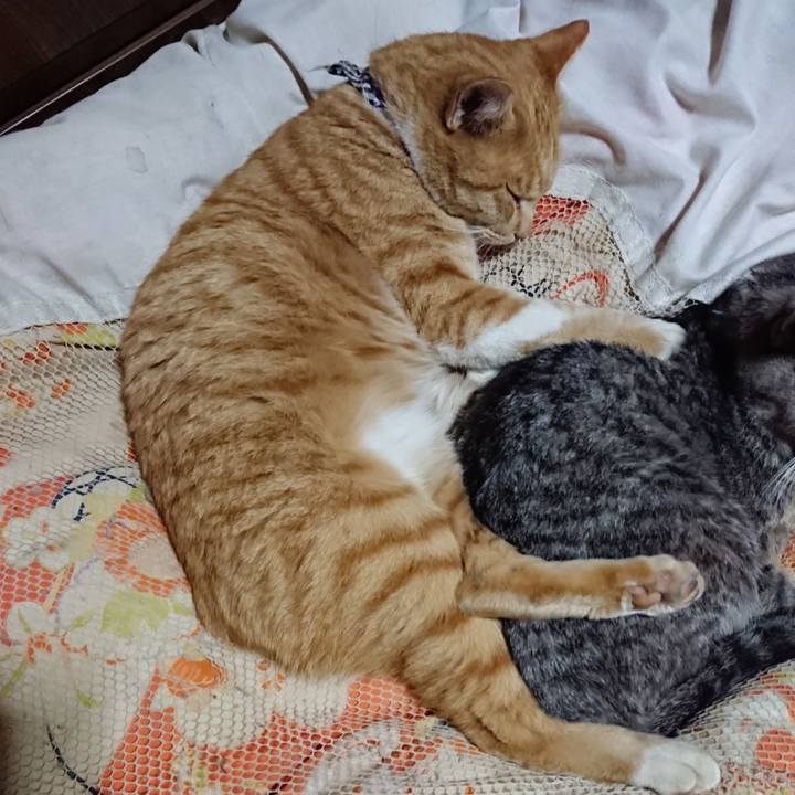 2e3055e2 736a 447a 951a 0533bbd9e649 1574083783566