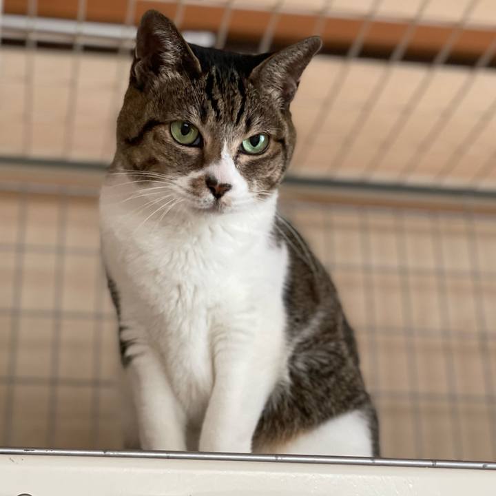 2e305757 d620 4886 ad03 8455caf2aaed 1637802899732